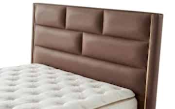 Starex Başlık (Gold)